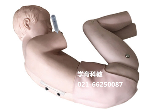 儿童人体腰部穿刺麻醉训练模型